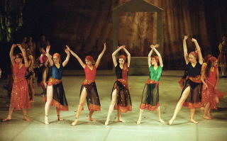 cinderella 13-14