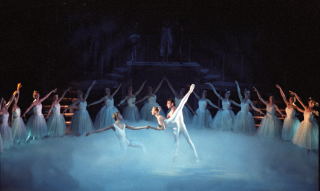 peter pan 56-28